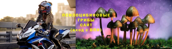 дмт Алексин