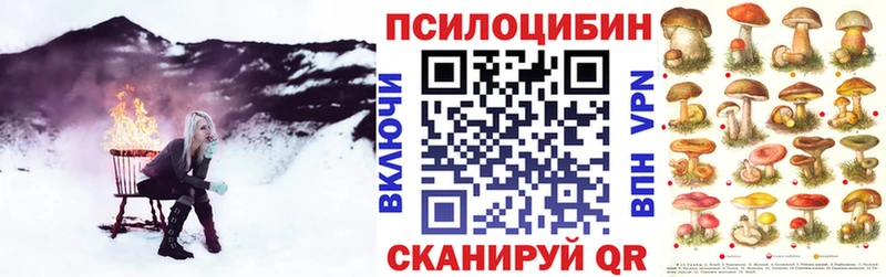 Купить закладки  Семилуки  Псилоцибиновые грибы прущие грибы 